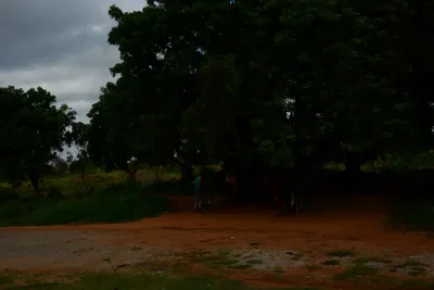 DSC_8053 (Large).JPG